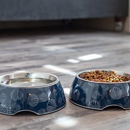 Отель Stadt-gut-hotel Grosser Kurfuerst 3*